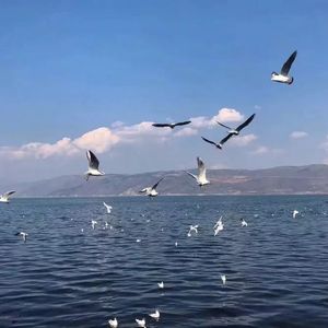 18禁白丝喷水视频www视频
